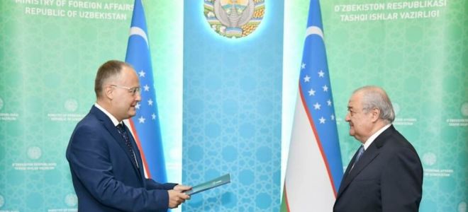 Оливковый кивсяк: загадочный житель террариумов