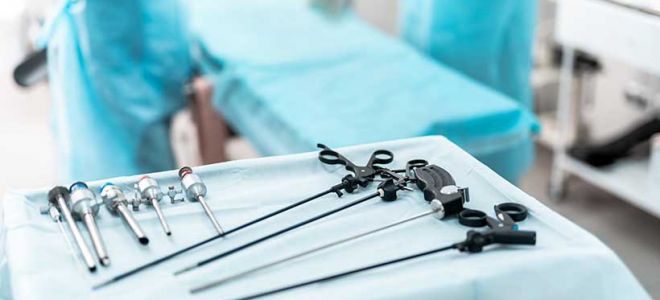 Калифорнийский удав: загадочный обитатель пустынь и лесов