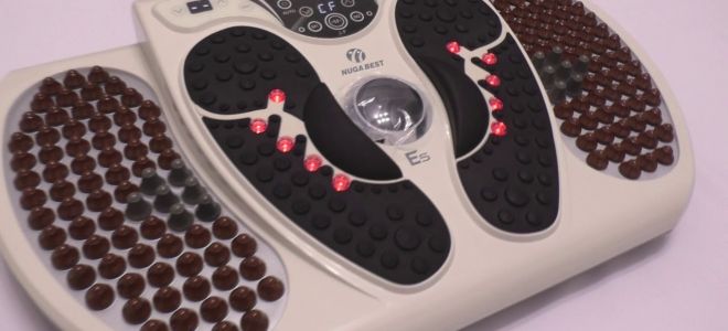 Формитопус канцеридес: Ваша путеводная звезда в мир тропических пауков