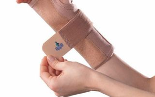 Оливковый агути: маленький путешественник тропических лесов