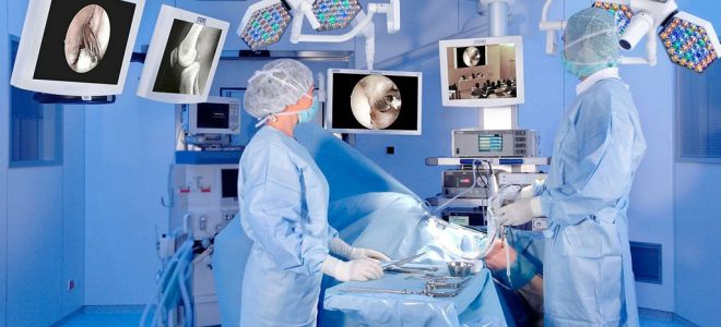 Витатус: загадочное создание из волшебного мира фауны