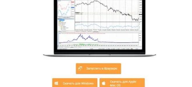 Как работает брокер AMarkets?