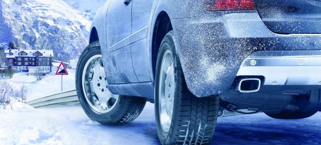 Серый кардинал: Удивительный обитатель наших лесов