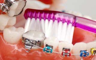 Загадочный псалмопеус кембридж: Уникальный представитель мира птиц