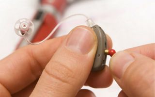 Парусник Мемнон: Удивительное Путешествие через Время и Пространство