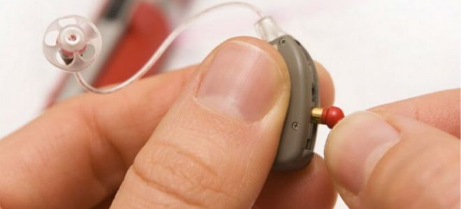 Тайны размножения серых жаб: где и как они находят любовь