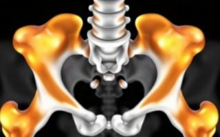 514. Остеохондропатии: что объединяет эти заболевания и почему их часто путают