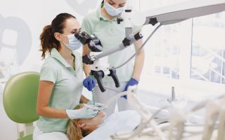 Удивительный мир Grammostola actaeon: Пауки, которых не стоит бояться