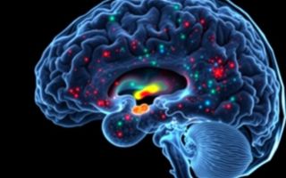 Опухоль глиального ряда: что это, как распознать и с чем бороться