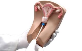 Радужный кивсяк: Водяной дождь из ярких цветов