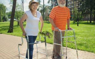 Туркменистанский таракан: маленький герой пустынь и неожиданный союзник человека