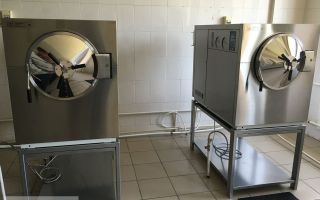 Авикулярия герольди: Приключения в мире таинственных птиц