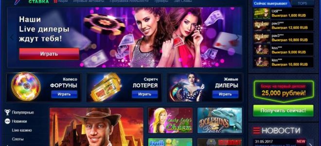 Капская крапчатая плоская черепаха: загадочное создание южноафриканских просторов